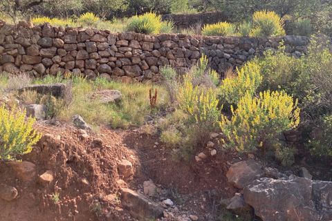 Landejendom i El Perello, Tarragona, El Perello - € 36.000 | Ref: Finca Montanas - foto 43